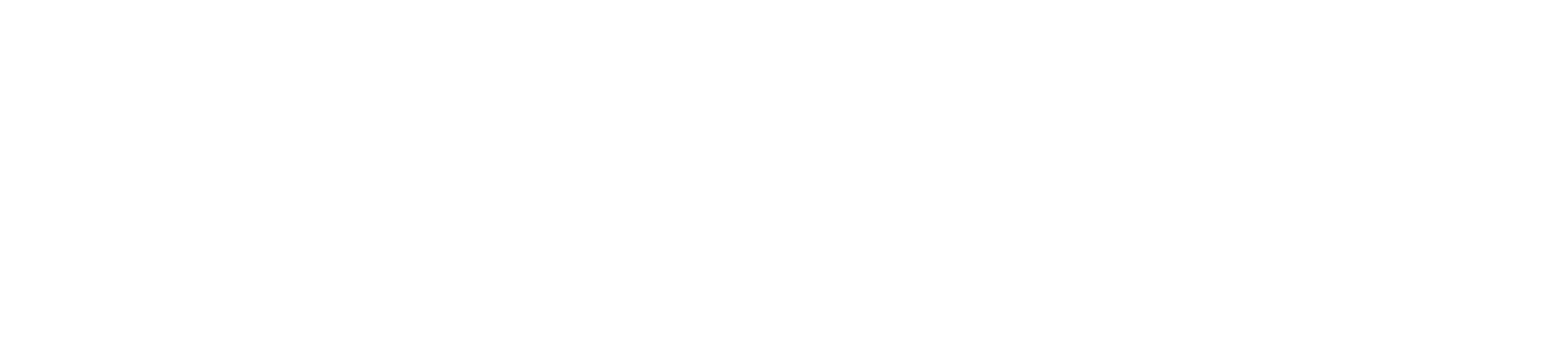 immersed Logo